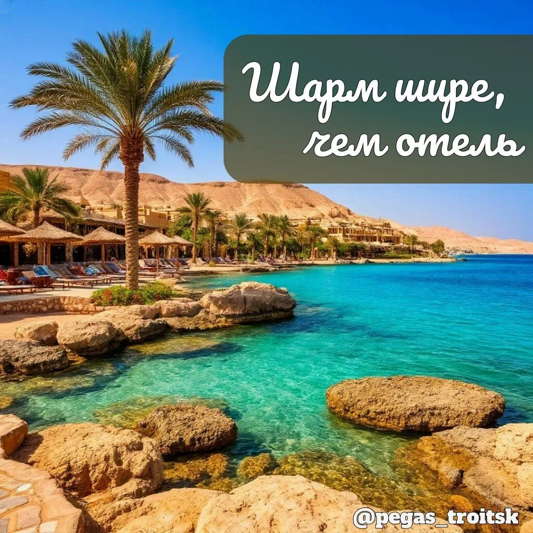 🇪🇬 Шарм-эль-Шейх — это не только отель, шведский стол и лежак у бассейна

Если всё время проводить