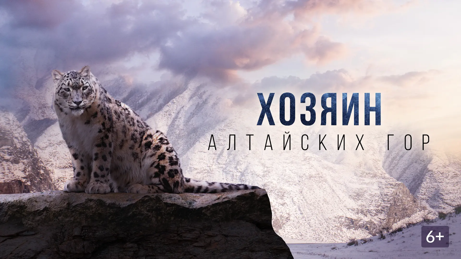 🎬 Что посмотреть: выбор волонтёра Симаргла

Продолжаем рубрику с рекомендациями от наших волонтёров