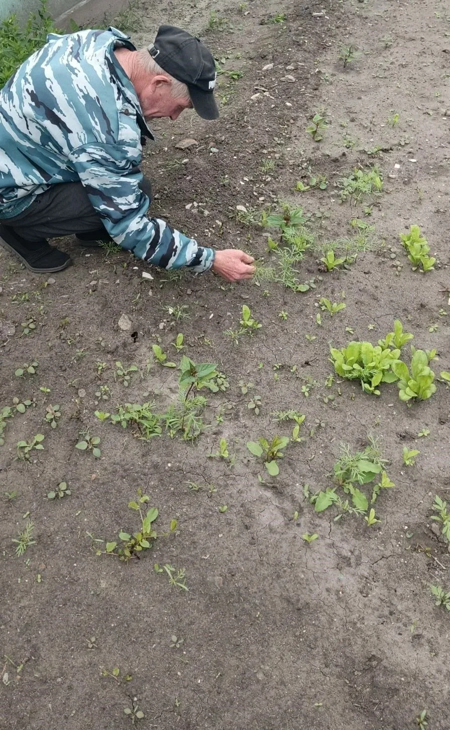 ✨ Готовимся к Дню России с любовью и заботой! ✨
Приближается один из самых важных праздников нашей с