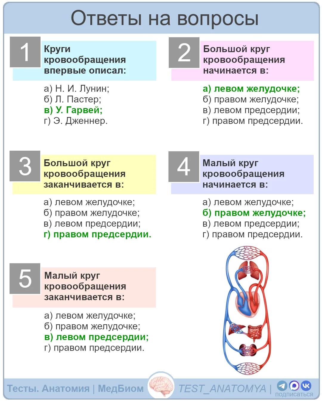 ⬆️ Ответы на вопросы