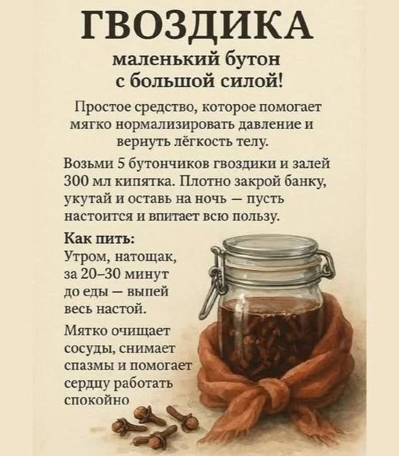 🟢Гвоздика- маленький бутон с большой силой!