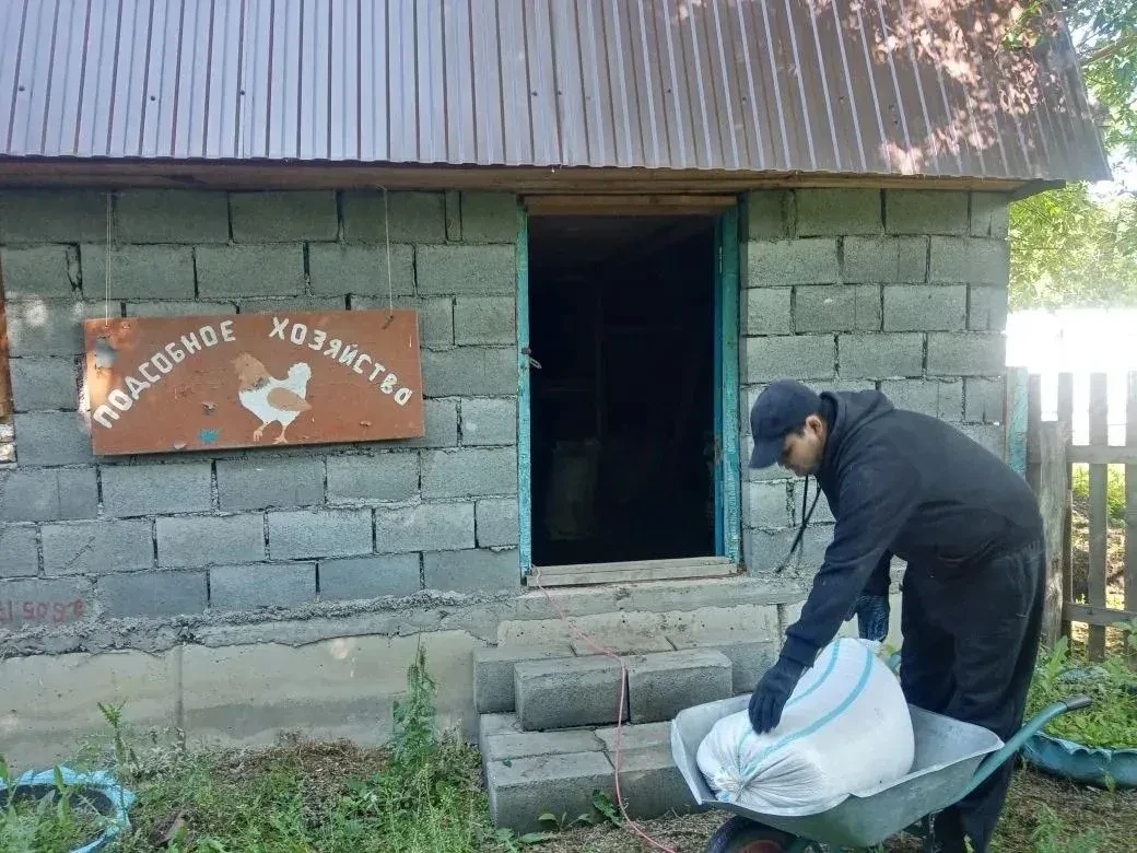 В школе села Новый Зирган воспитывают будущих предпринимателей и фермеров
МОБУ СОШ с. Новый Зирган —