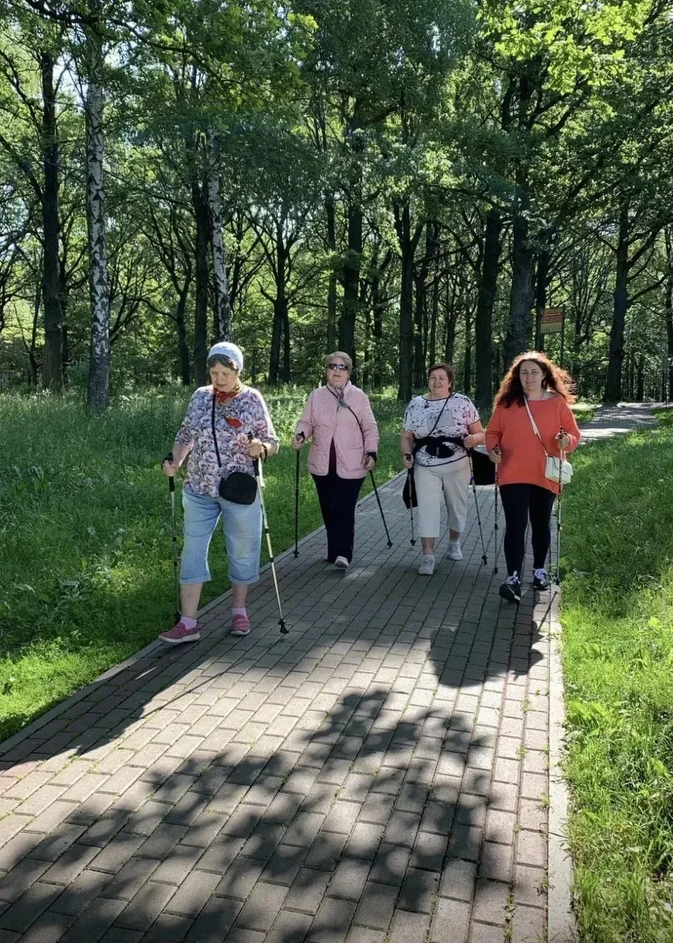 Скандинавская ходьба: мощный фитнес, который мы недооценивали 🦯

Многие до сих пор считают ходьбу с