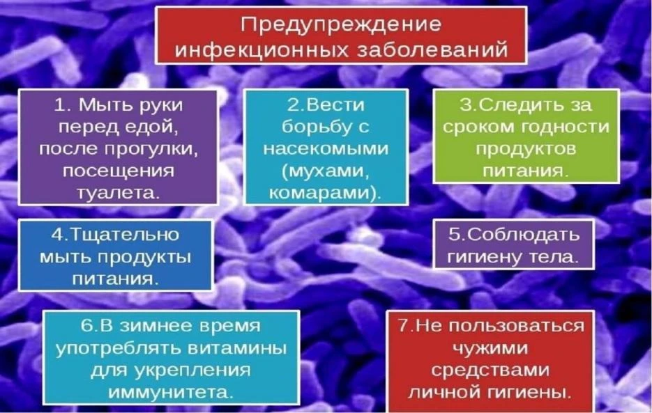 23-29 марта 2026 года - Неделя профилактики инфекционных заболеваний. Она была приурочена к Всемирно