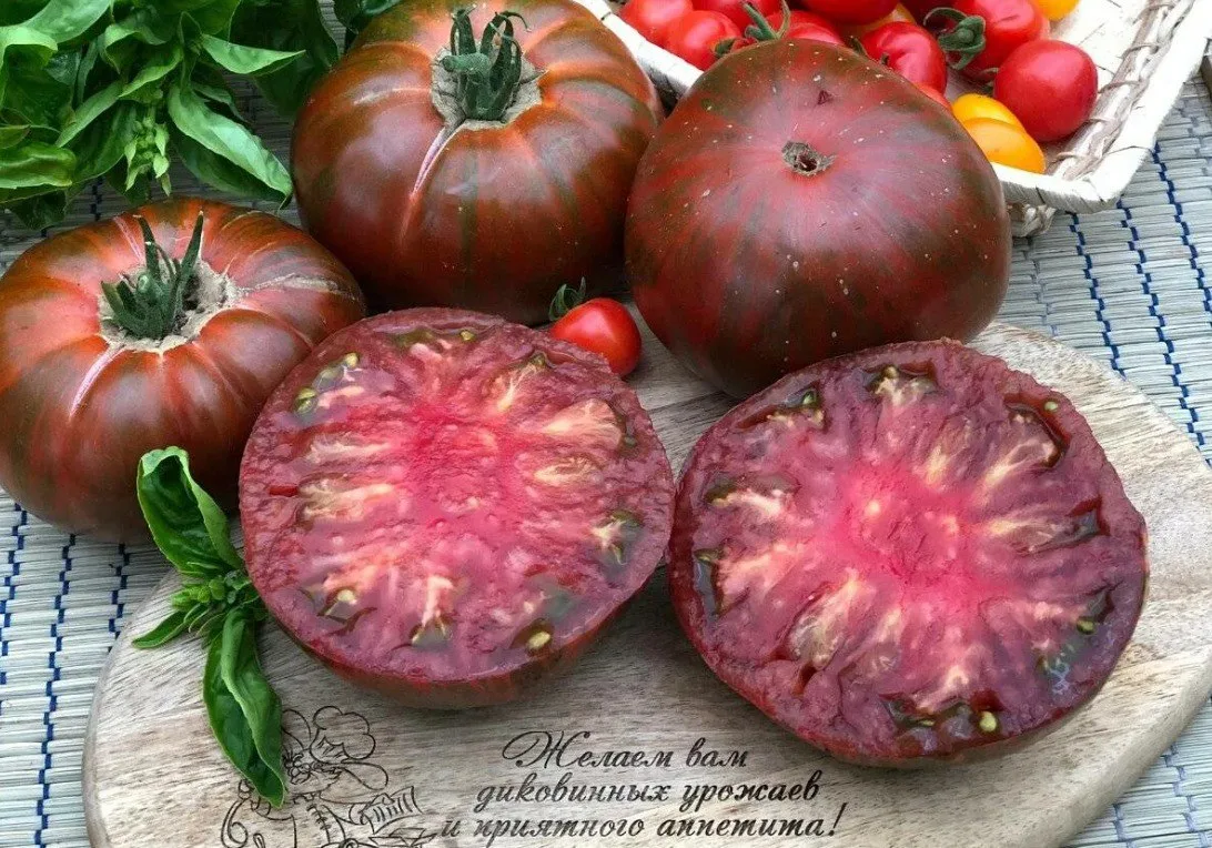 Томаты - Биколоры 🍅

Томаты биколор отличаются необычной окраской. Они могут быть как двухцветными,