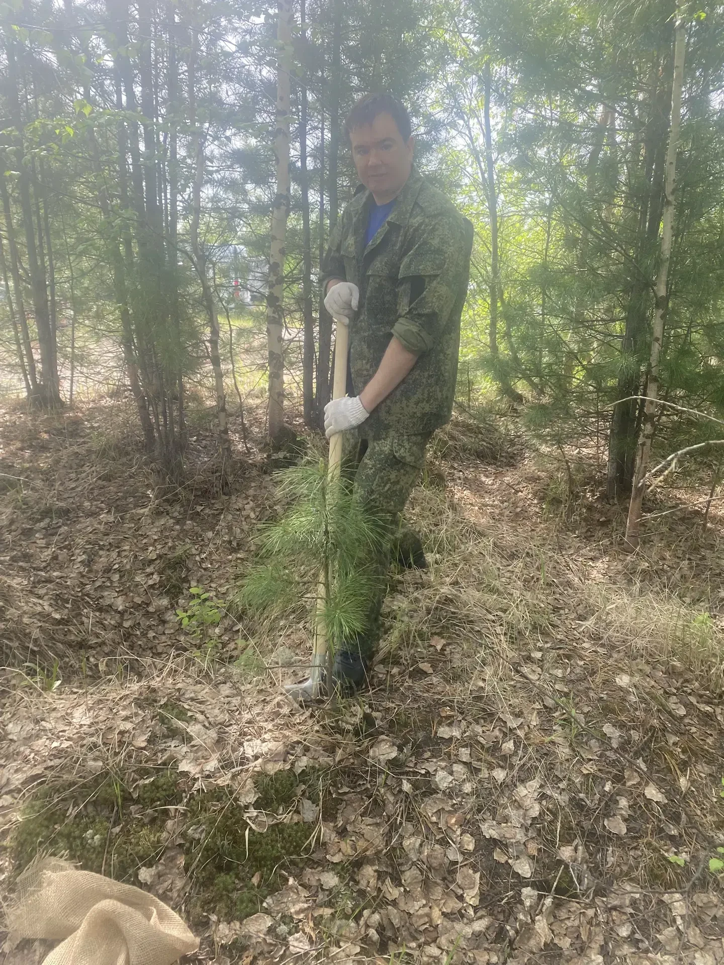 🌱10 июня 2026 года в городе Надыме в рамках реализации мероприятий по озеленению территорий состоял