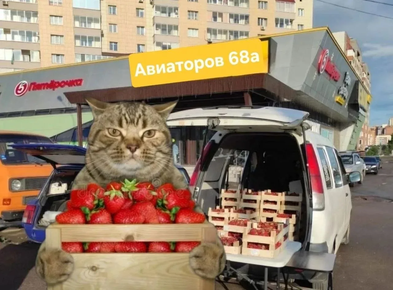 📣 Мы на месте 📣
     4.07.2026

В наличии есть немного клубники для свободной продажи.

💸 Оплата 