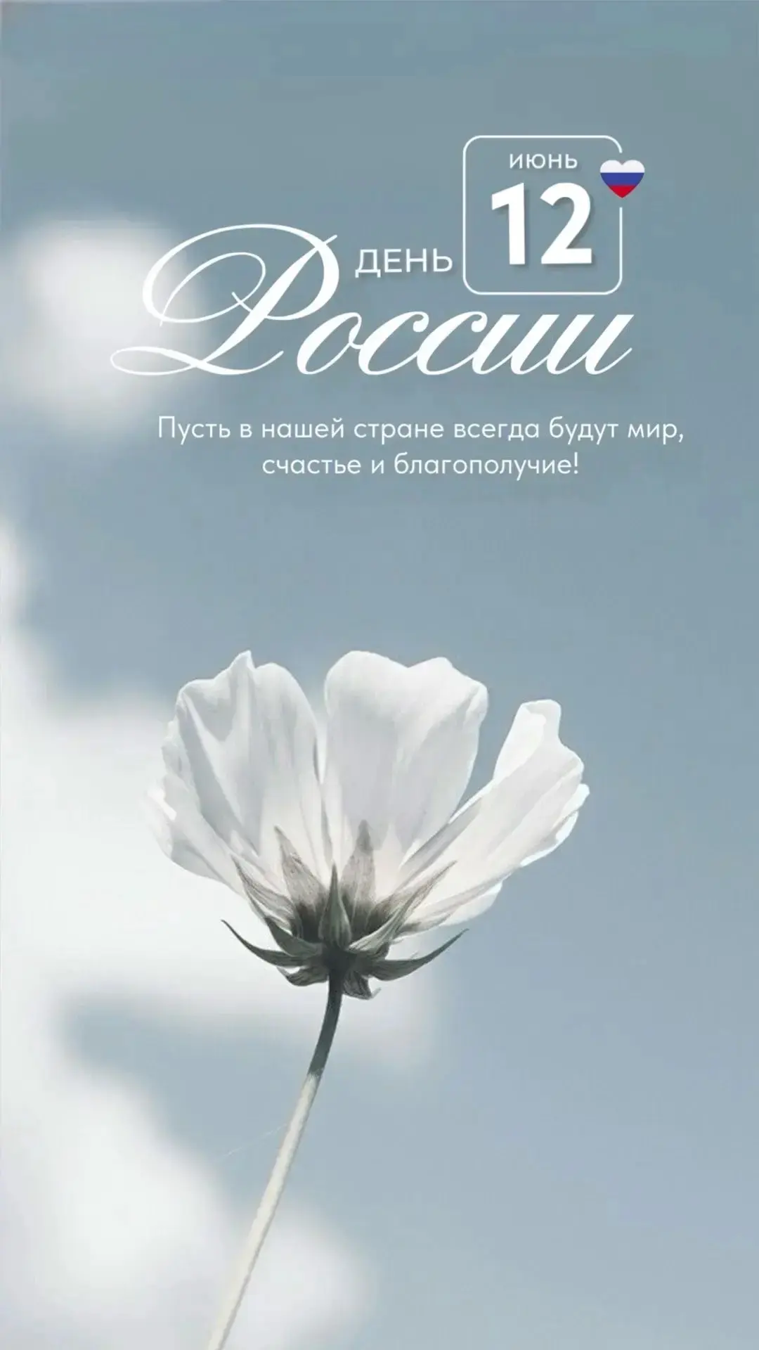 Уважаемые коллеги, партнёры, обучающиеся и жители Карачаево-Черкесской Республики! 🇷🇺✨

КЧР ГБПОО 