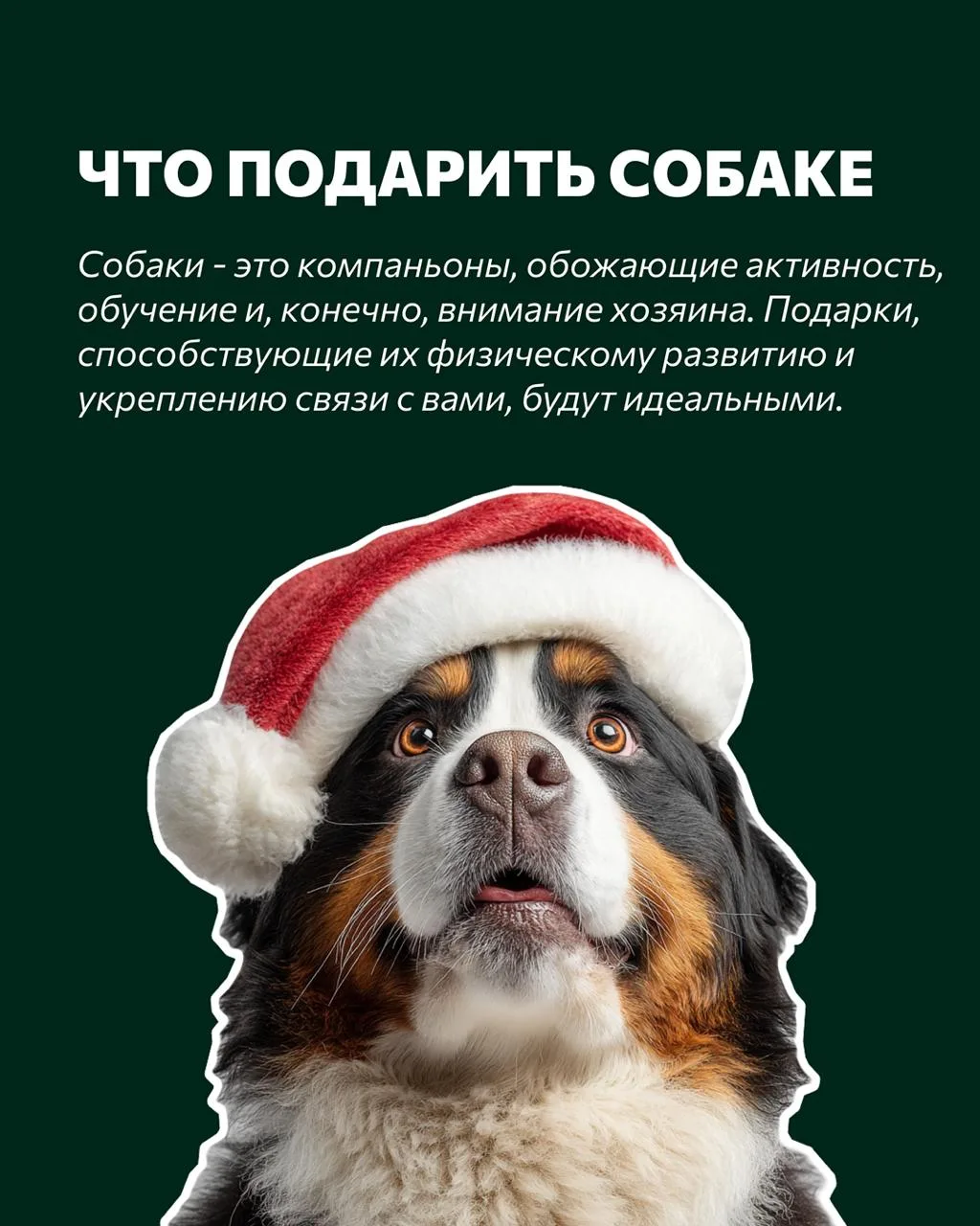 Мы тут приготовили для вас несколько идей🤘

🐾ДОМАШНИЙ ПИТОМЕЦ🐾

☎️+7 (846) 248-00-33
WhatsApp/Tel