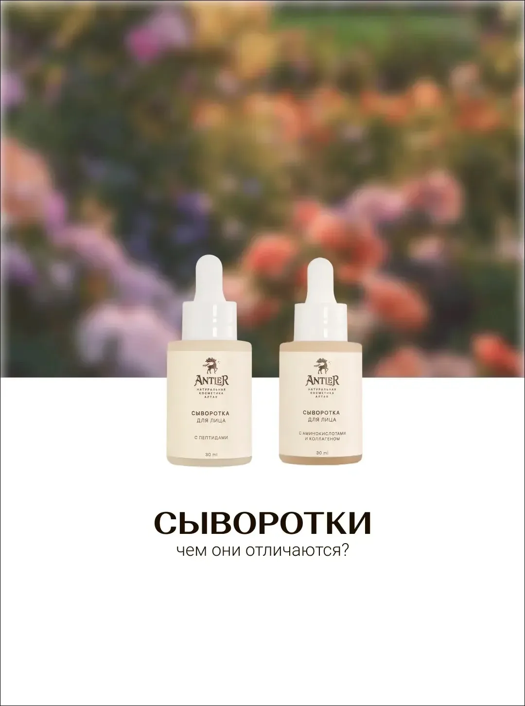 Сыворотки — настоящие «тяжеловесы» в мире косметологии, способные решать конкретные проблемы кожи. 
