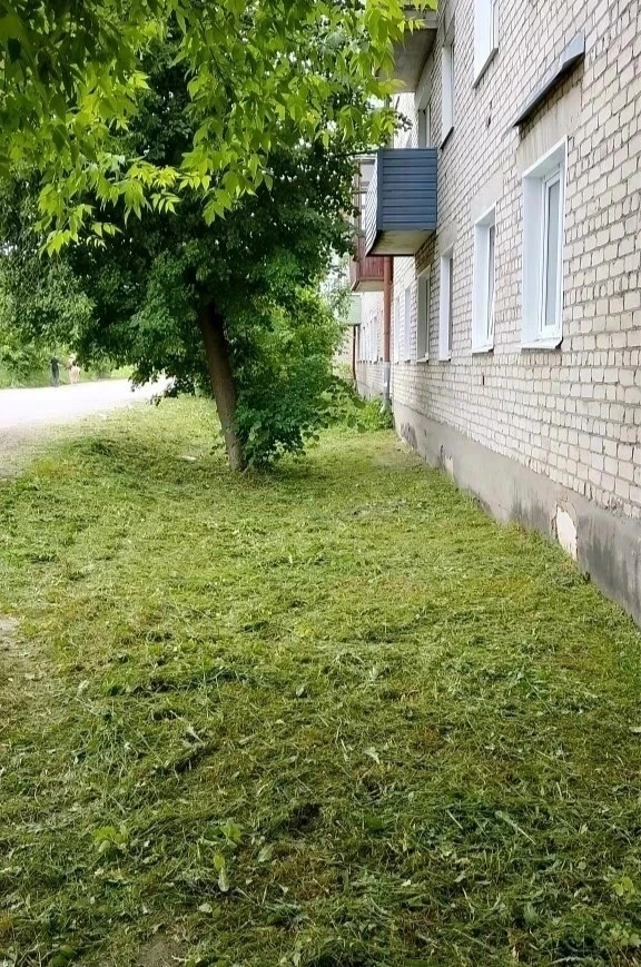 Покосили траву на придомовой территории🌿
📍ул. Кокорева, 2, 4