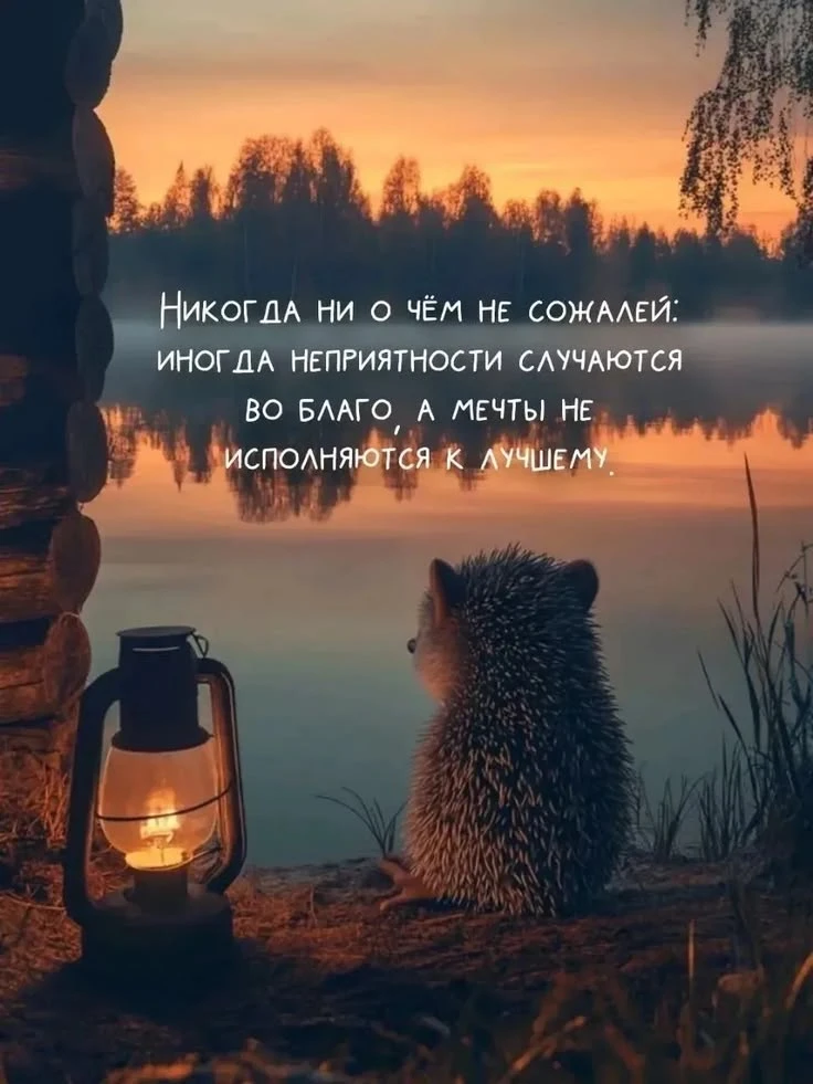Твой мир, твои слова