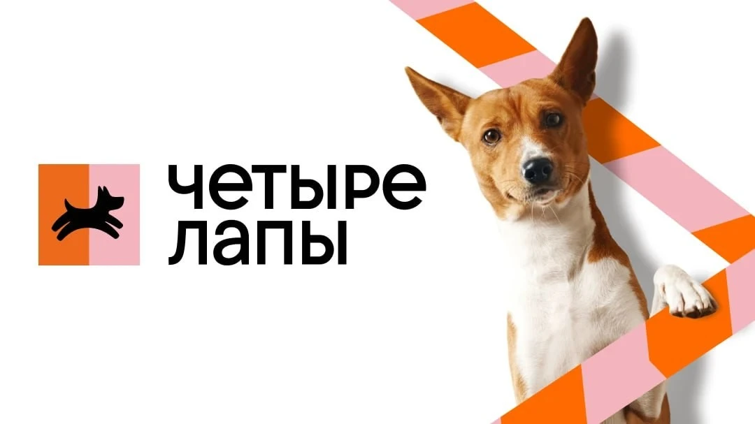 🐶 «Четыре лапы» ждут на склад 🐱

📍 МО, г.о. Раменский, д. Бритово, складской комплекс ССТ, к11

—