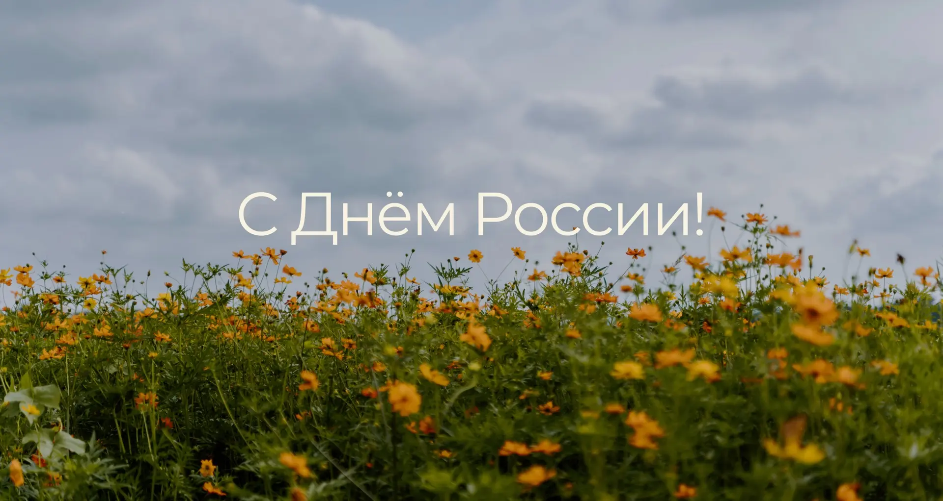 Дорогие пациенты, поздравляем вас с Днём России! 🇷🇺🤍

Этот праздник объединяет людей разных покол