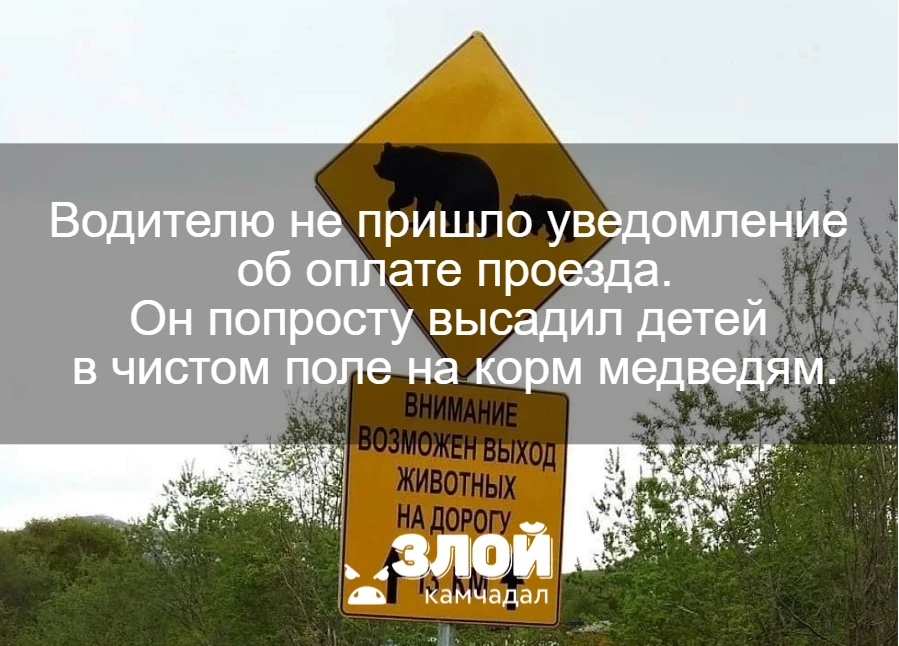 #нампишут
"Крик души!!! 21.06.2026 года, воскресенье.
Мы, семьёй возвращаясь из Паратунки. Заметили 