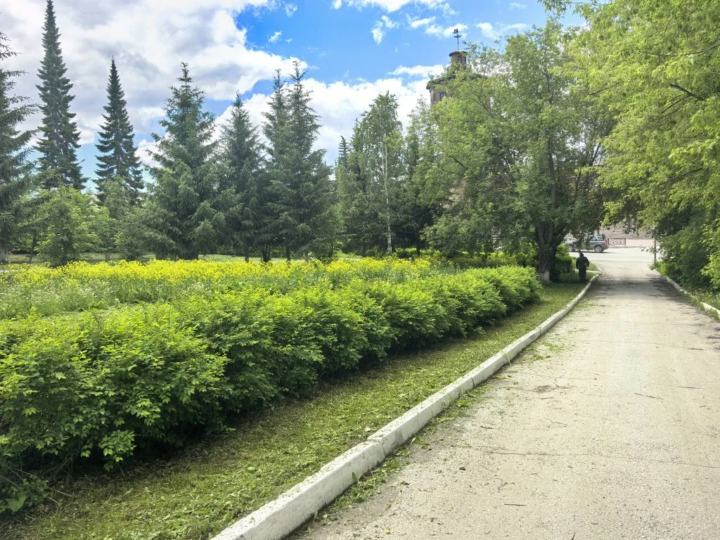 ☀Гимназия  янындағы ял һәм  хеҙмәт лагерының эшмәкәрлеге һәр йылдағыса  ҡыҙыу бара.Башланғыс кластар