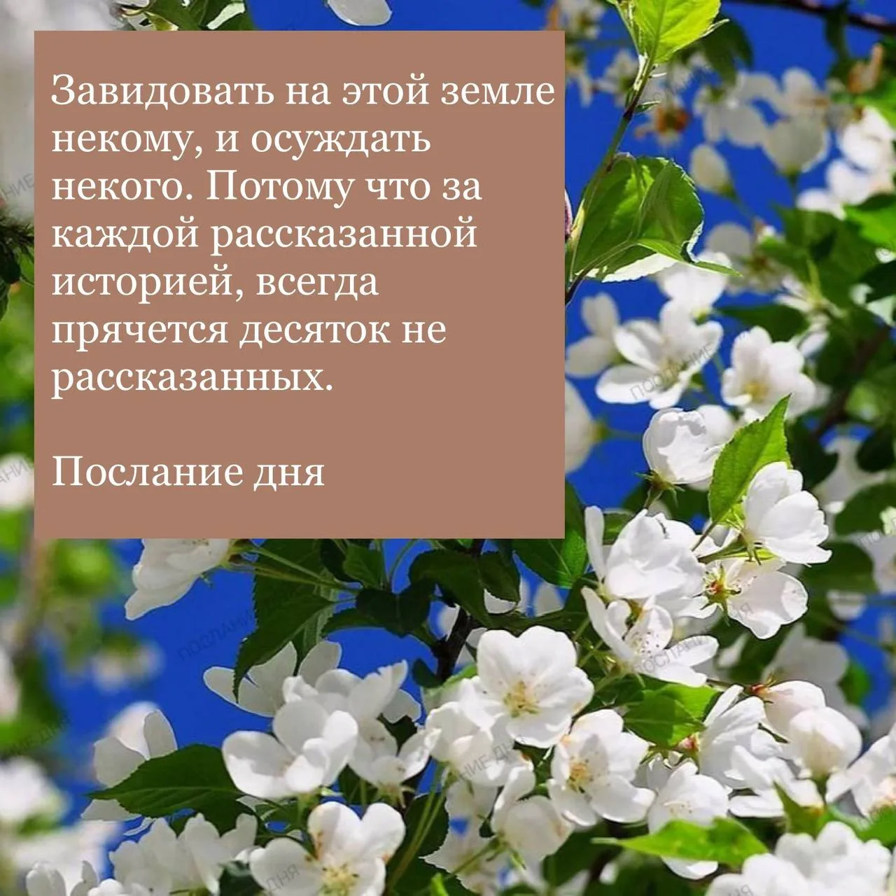 Послание дня