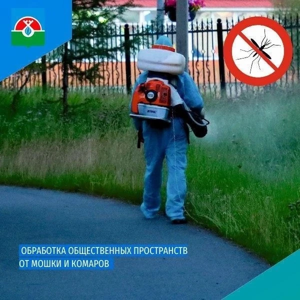 Уважаемые жители!
Подрядная организация продолжит плановую обработку общественных пространств нашего