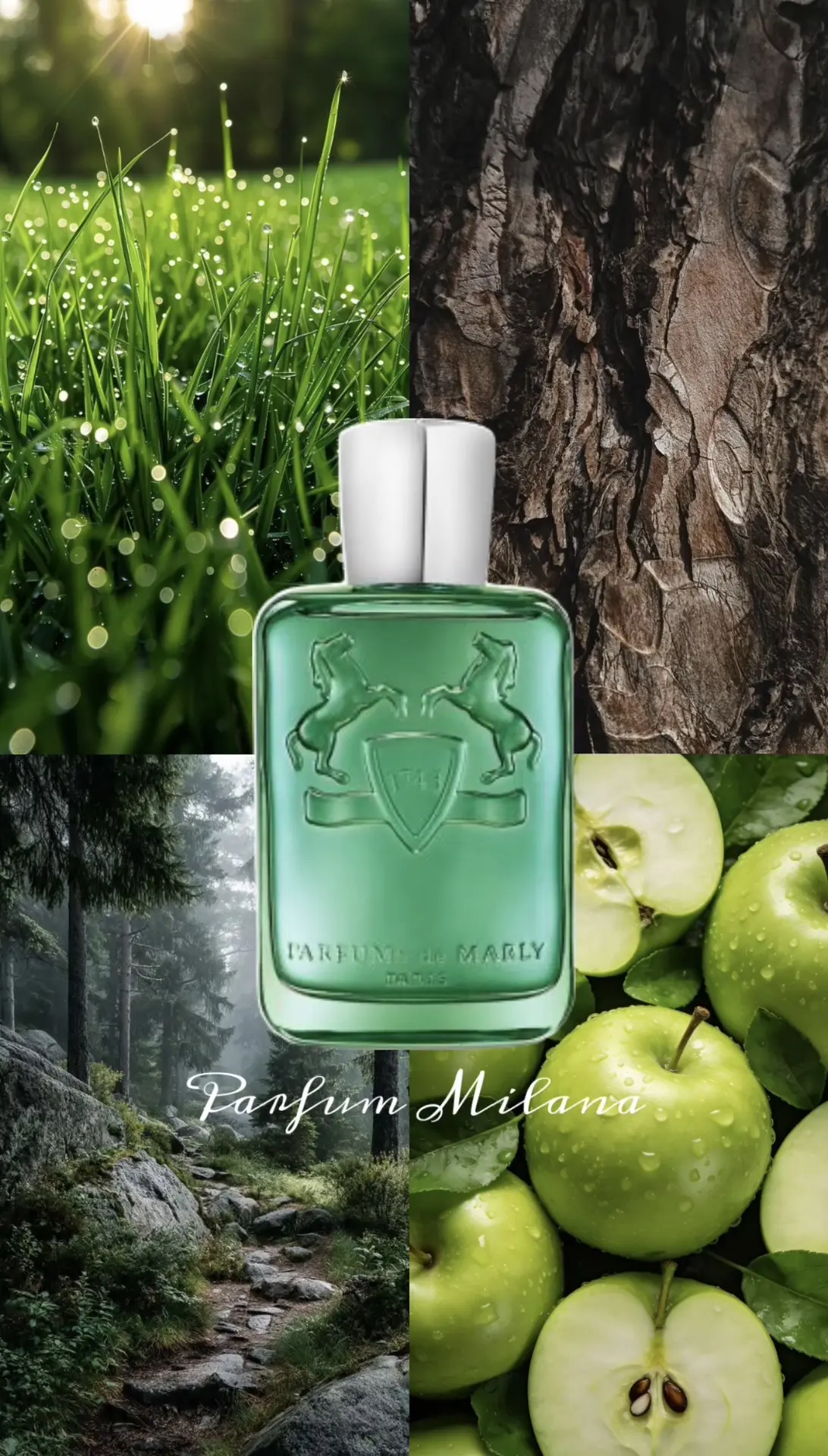 🍏 Parfums de Marly Greenley

Для меня Greenley — это аромат прогулки по лесу ранним утром. Когда во
