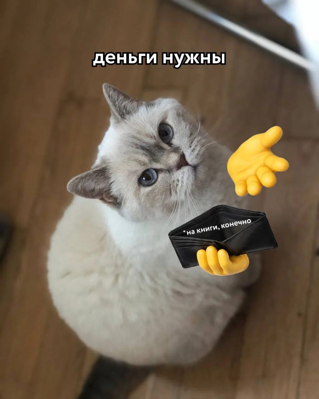 ты когда мне в денюжках на книжечки отказываешь, ты вот кому отказываешь

*знаешь, кому отправить, и