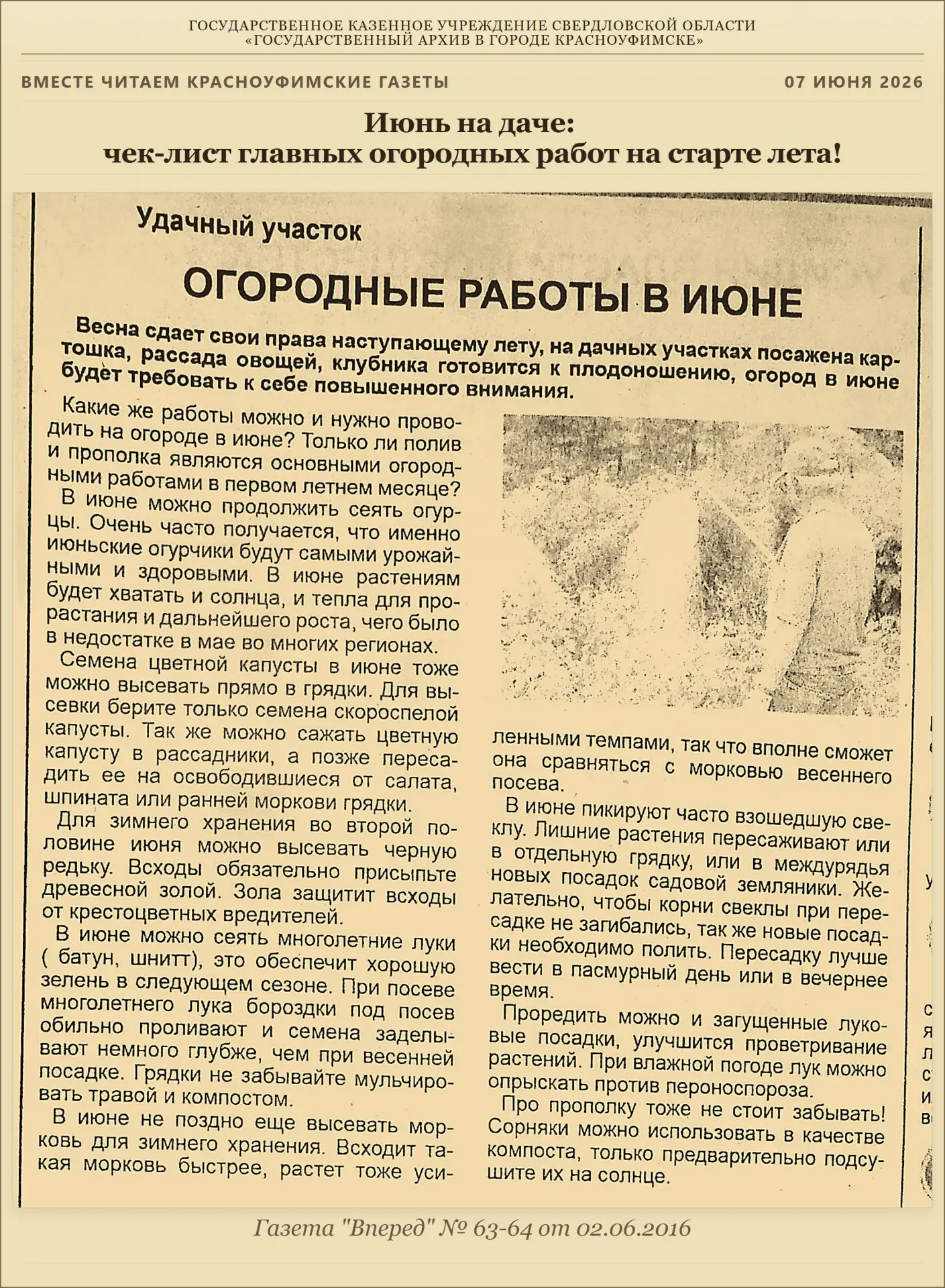 Июнь на даче: чек-лист главных огородных работ на старте лета! 🥒🌱🥕
Уважаемые подписчики! Вот и н