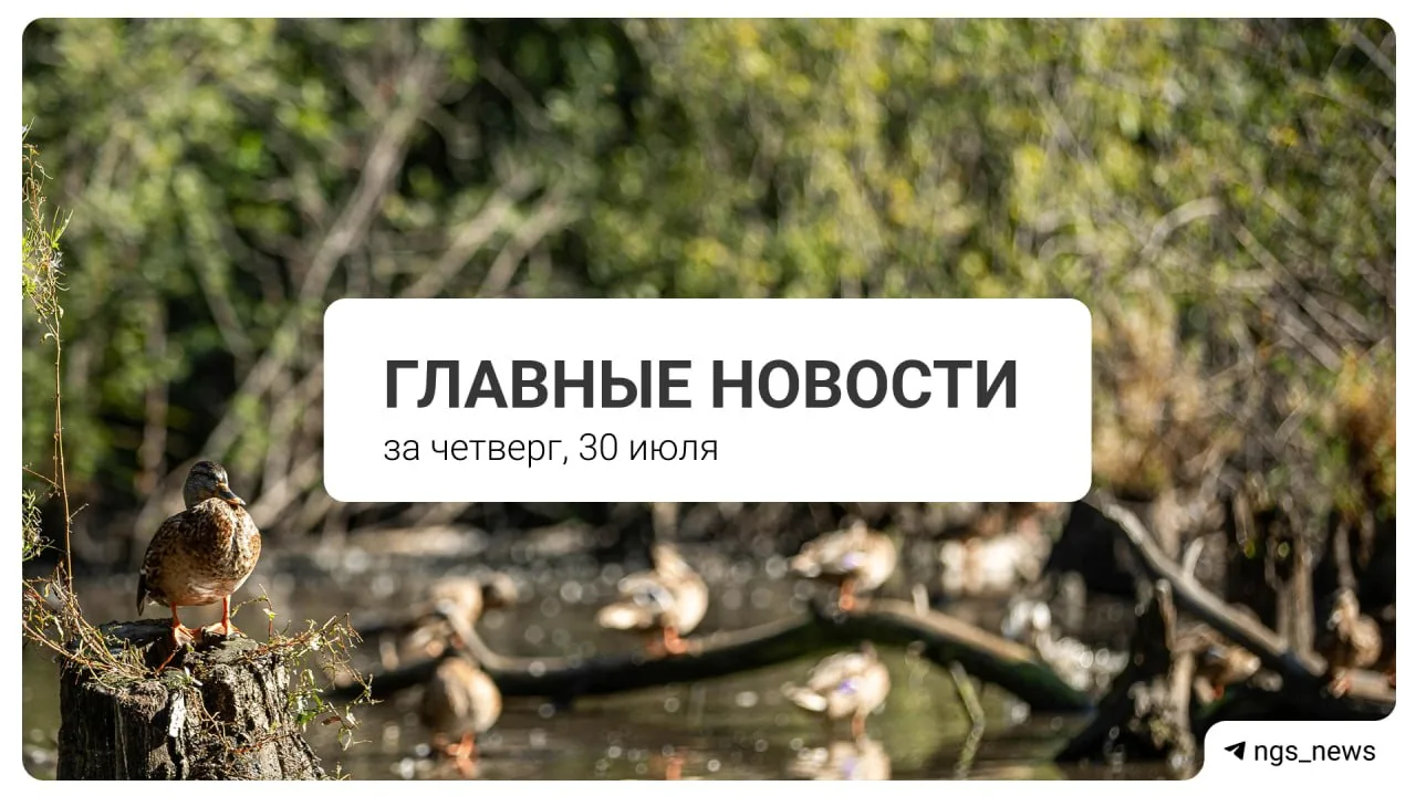 Главное за четверг, 30 июля

Тема дня — сибирячка протаранила шесть машин на Спортивной.

Что еще по