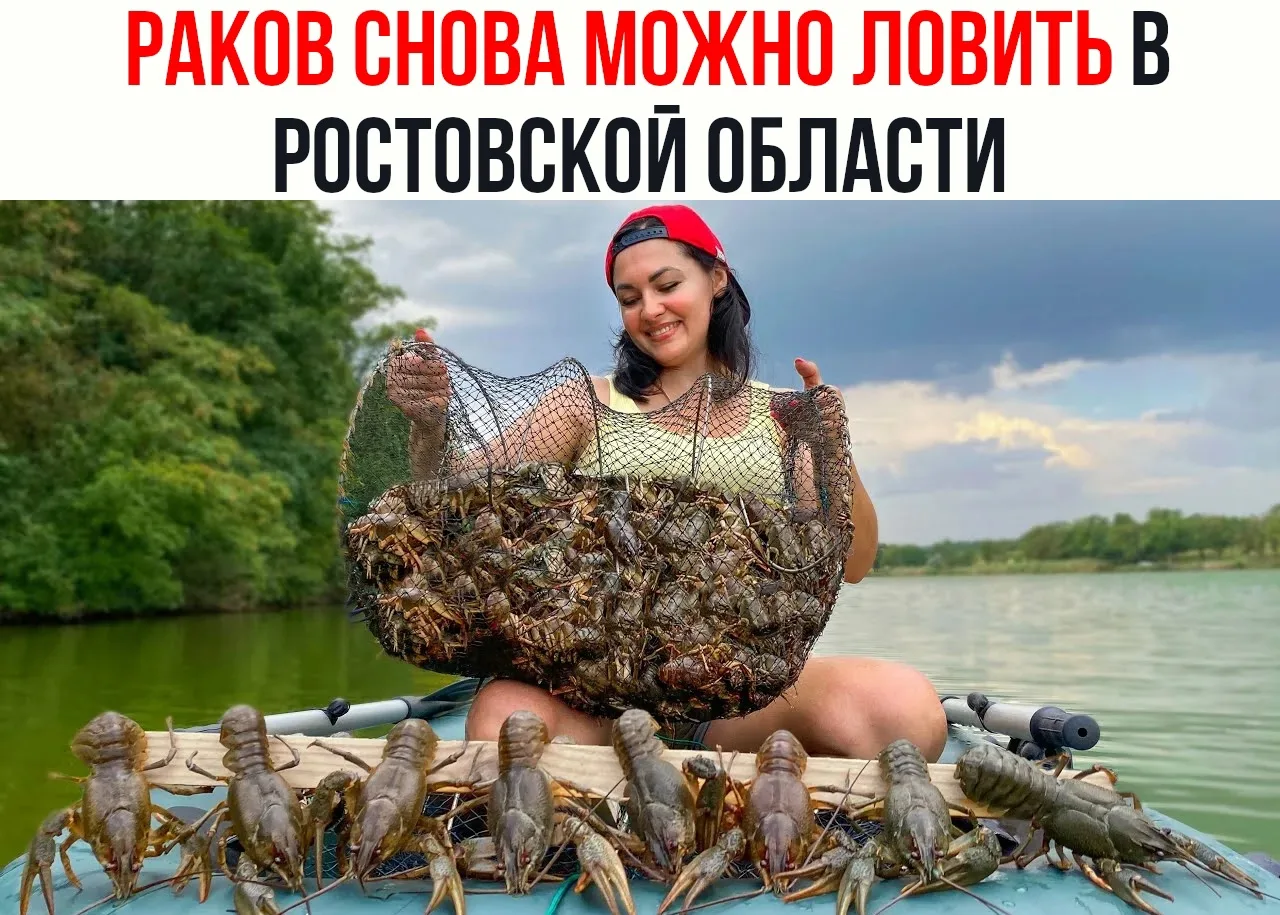 🦞 Раков снова можно ловить в Ростовской области , но с кучей ограничений

Β peгиοнe зaκοнчилcя вece