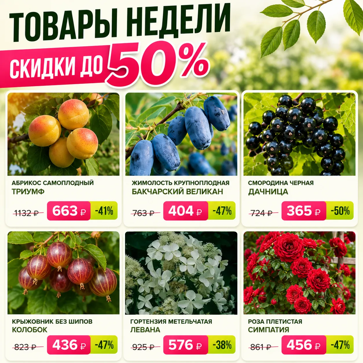 🔥 Лучшие саженцы сезона — цены тают!

Не упустите шанс обновить сад выгодно! На этой неделе мы собр