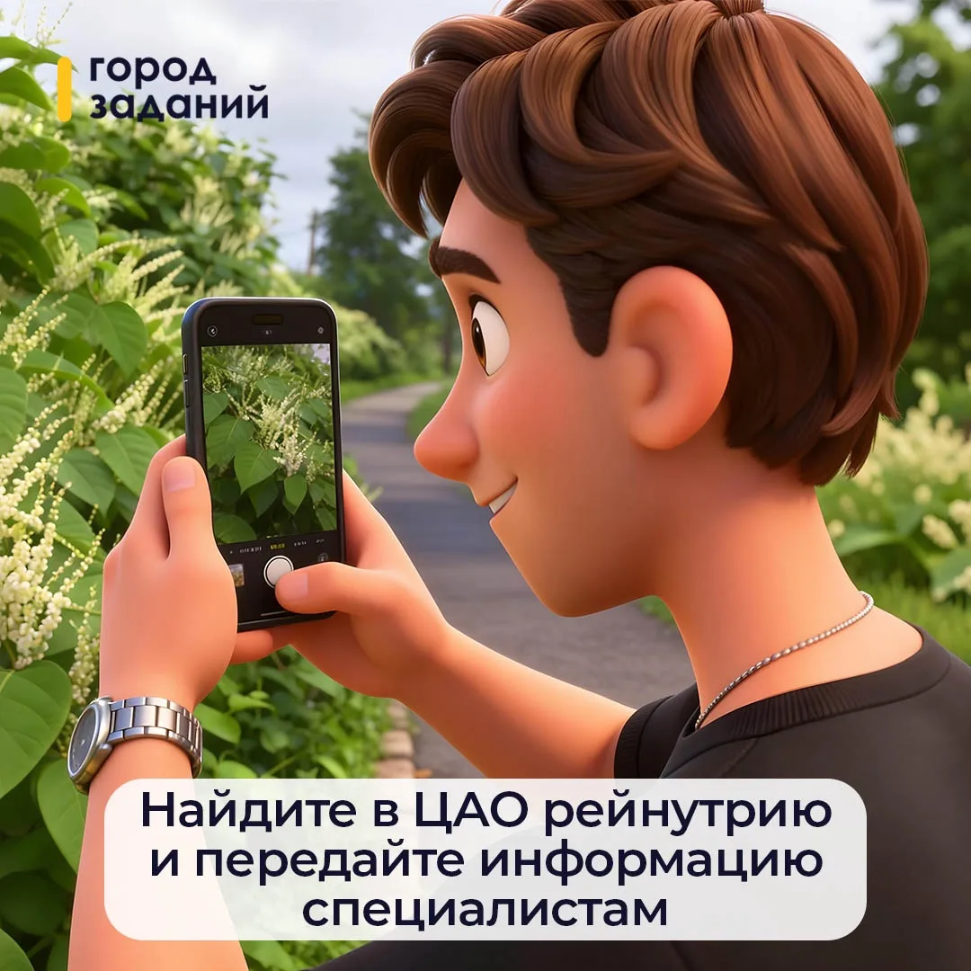 Знаете ли вы, что среди растений есть агрессоры?

К ним относится рейнутрия. Этот многолетник с мощн