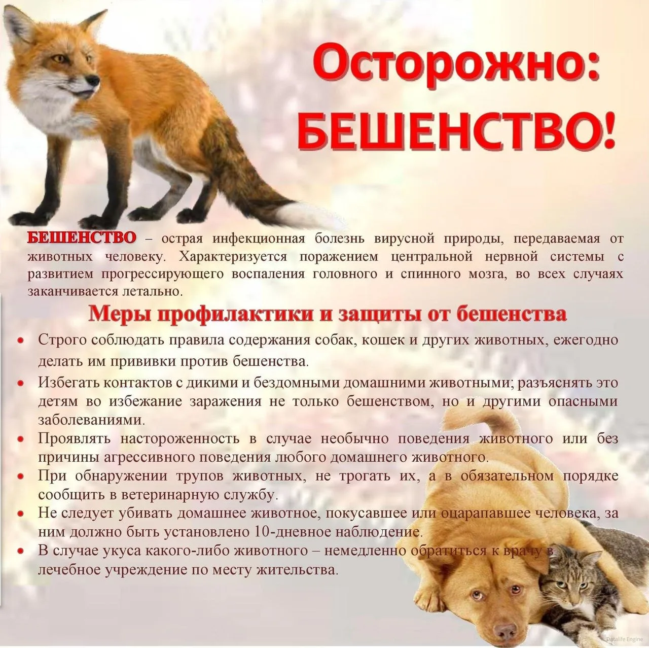 Памятка для населения