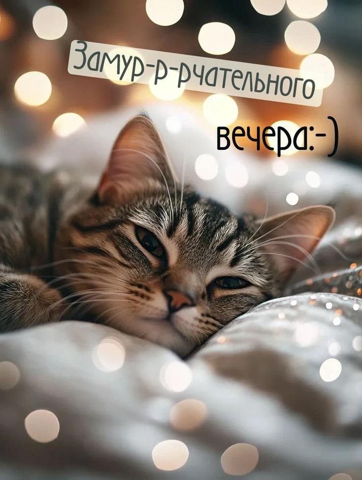 Желаем вам хорошего вечера, полного приятных моментов и уютных мгновений! Пусть каждый ваш шаг будет
