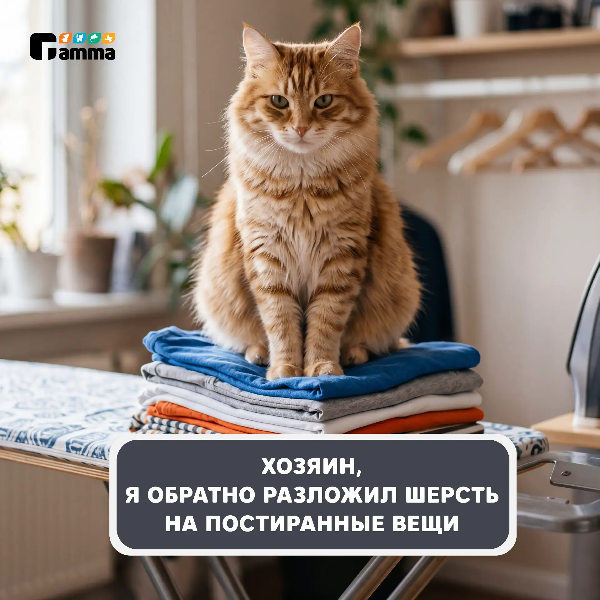 Люди делятся на два типа...

Вы в какой команде? Оставляйте реакцию в комментариях:
🔥 — смирился с 