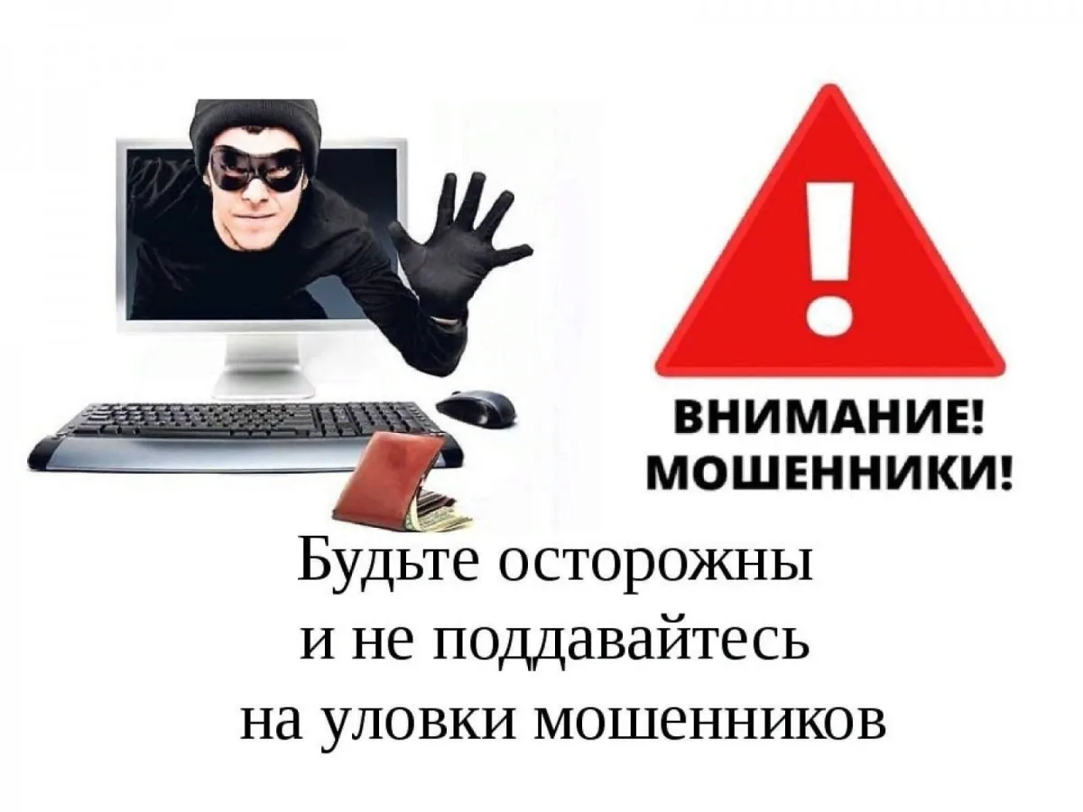 ПРОКУРАТУРА ИНФОРМИРУЕТ
Органами прокуратуры Архангельской области и Ненецкого автономного округа по