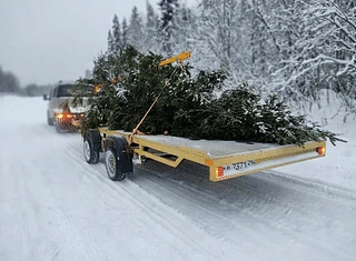 🎄 УСПЕЙТЕ ЗАПИСАТЬСЯ, ПОКА ЁЛКА ЕДЕТ НА ПРАЗДНИК!

Смотрите, наша новогодняя красавица уже в пути —