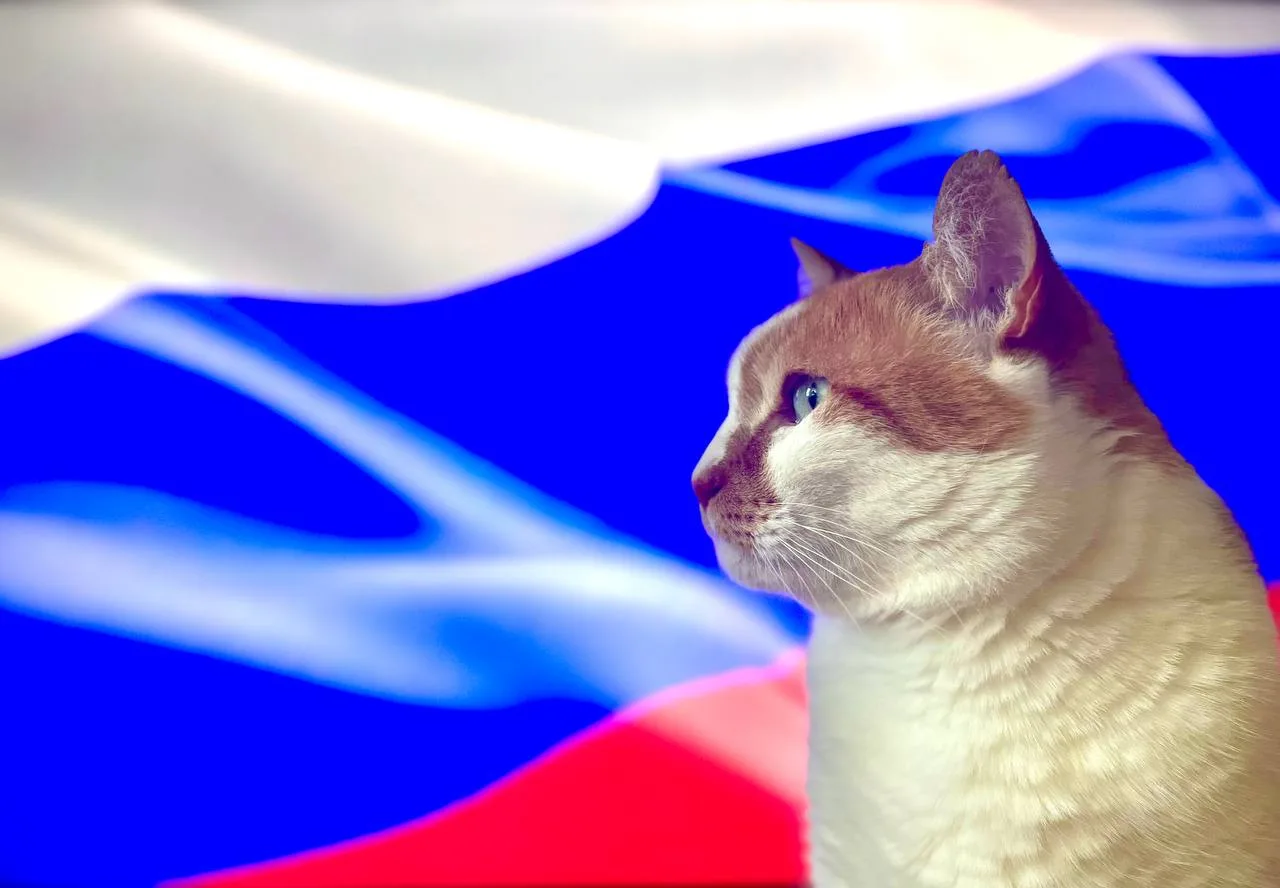 С Днём России! 🇷🇺

В каждом уголке нашей большой страны живет русский дух - в холмах, лесах и пере