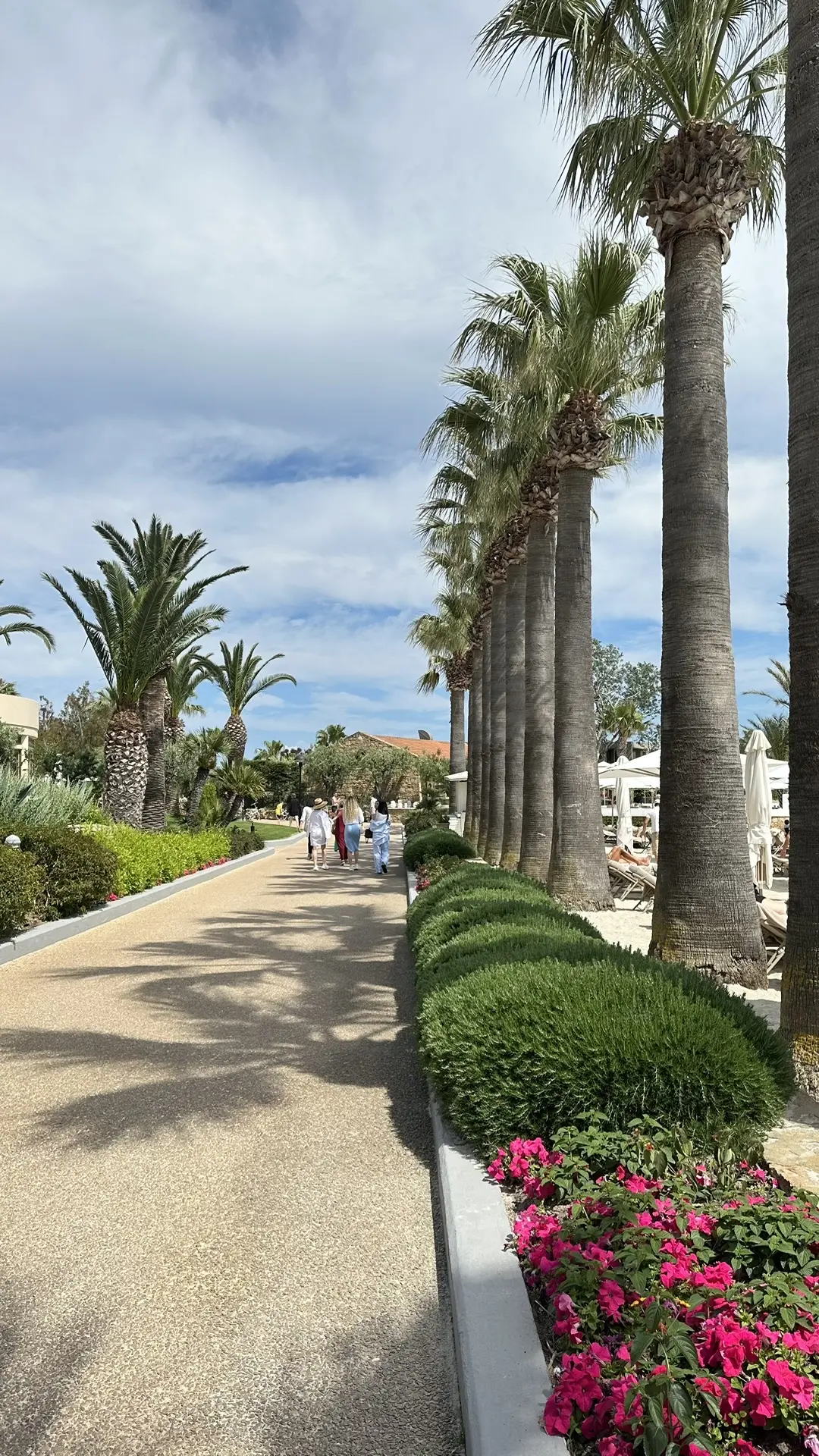 Sani Resort 5*

Ну это просто ван лав🤩 Огромный комплекс, состоящих из 5 отелей. Это целый город в 