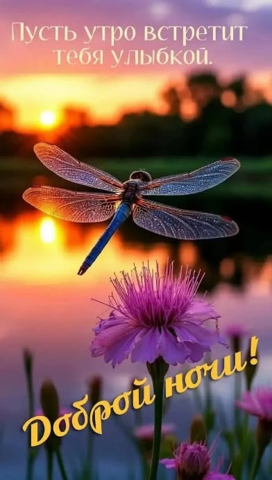 Открытки любимым 🌸🥰