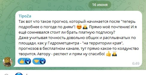 Хочу поделится с вами комментариям очередного нового подписчика. Вот он:

Так вот что такое прогноз,