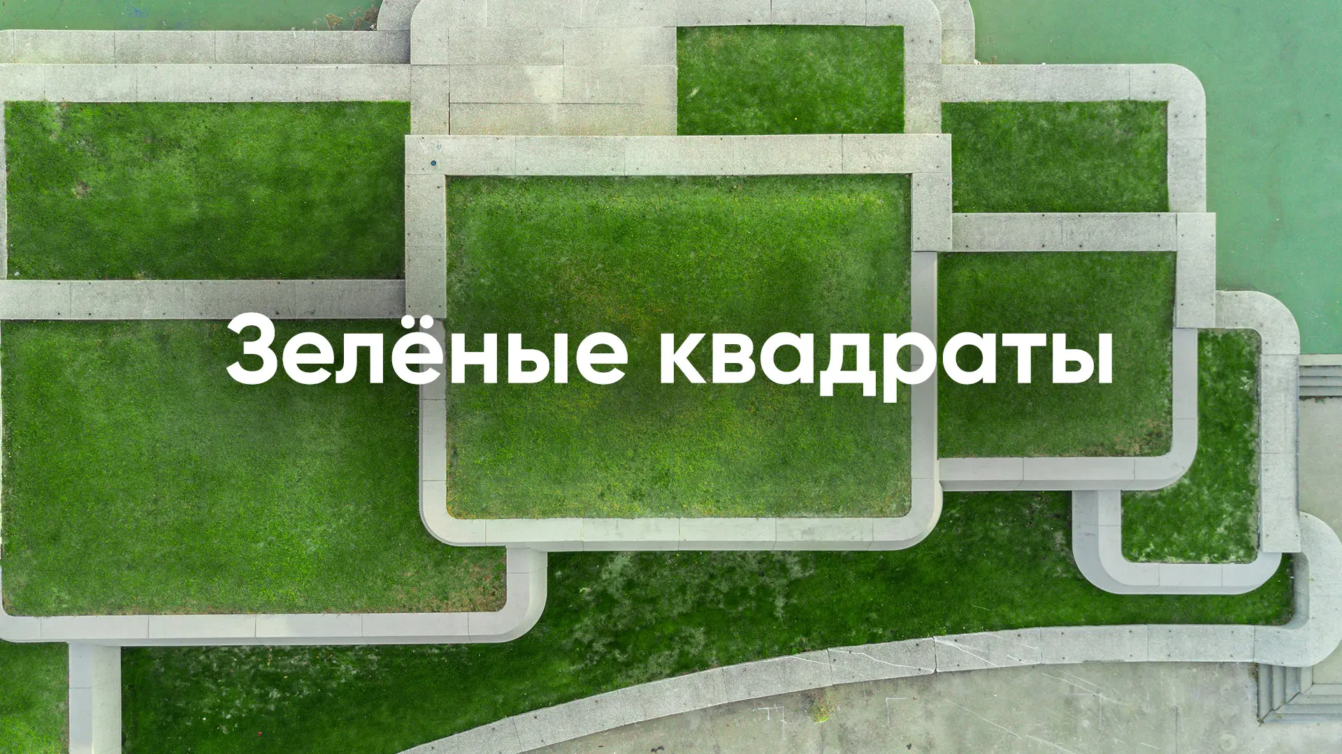 Основные характеристики «Зеленого квадрата»:
Личностные качества: Стабильность, терпеливость, лояльн