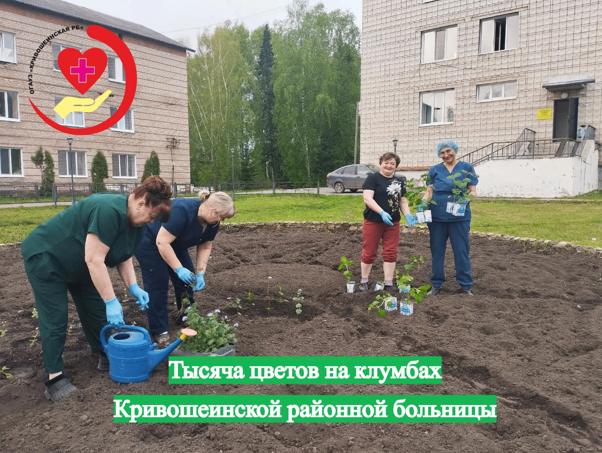 Работники Кривошеинской больницы высадили тысячу цветов

Наступило долгожданное лето. Почти во всех 