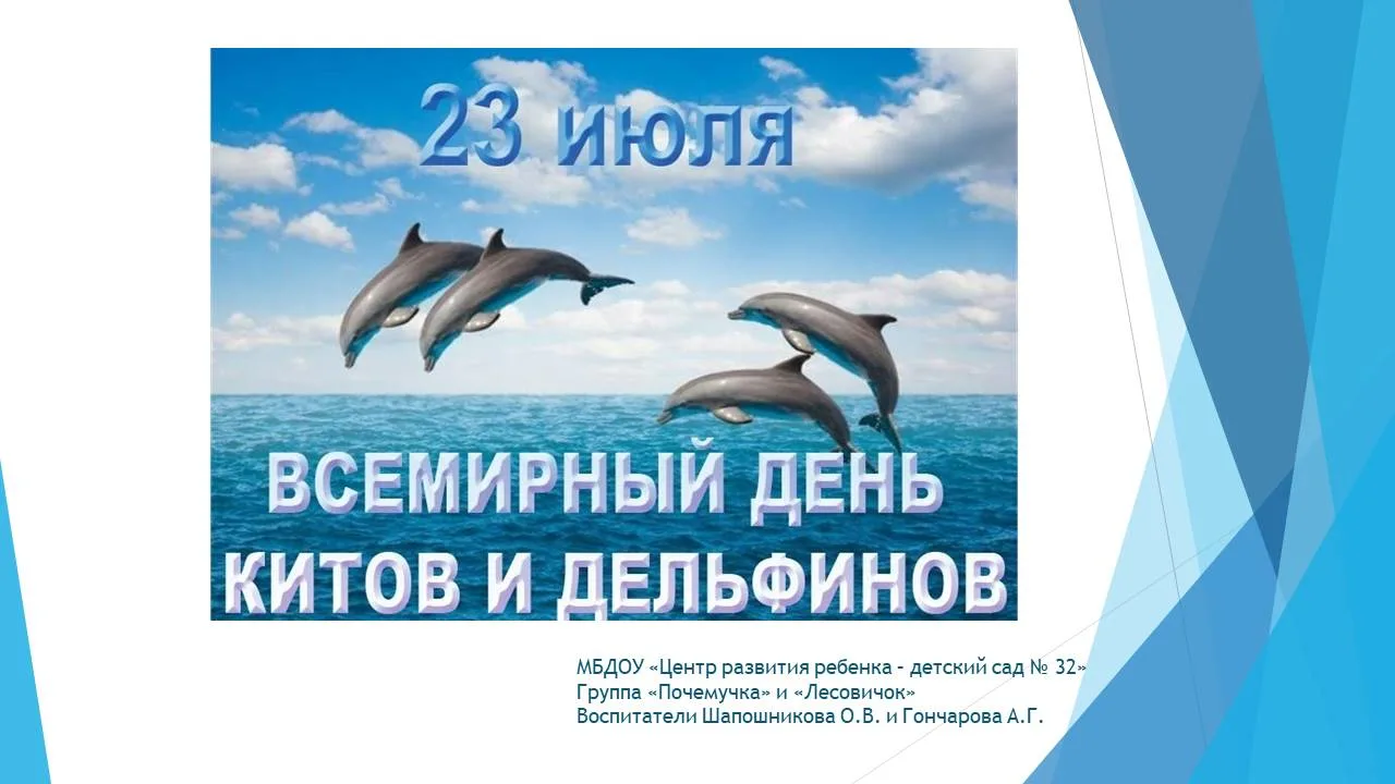 Всемирный день китов и дельфинов отмечается 23 июля.