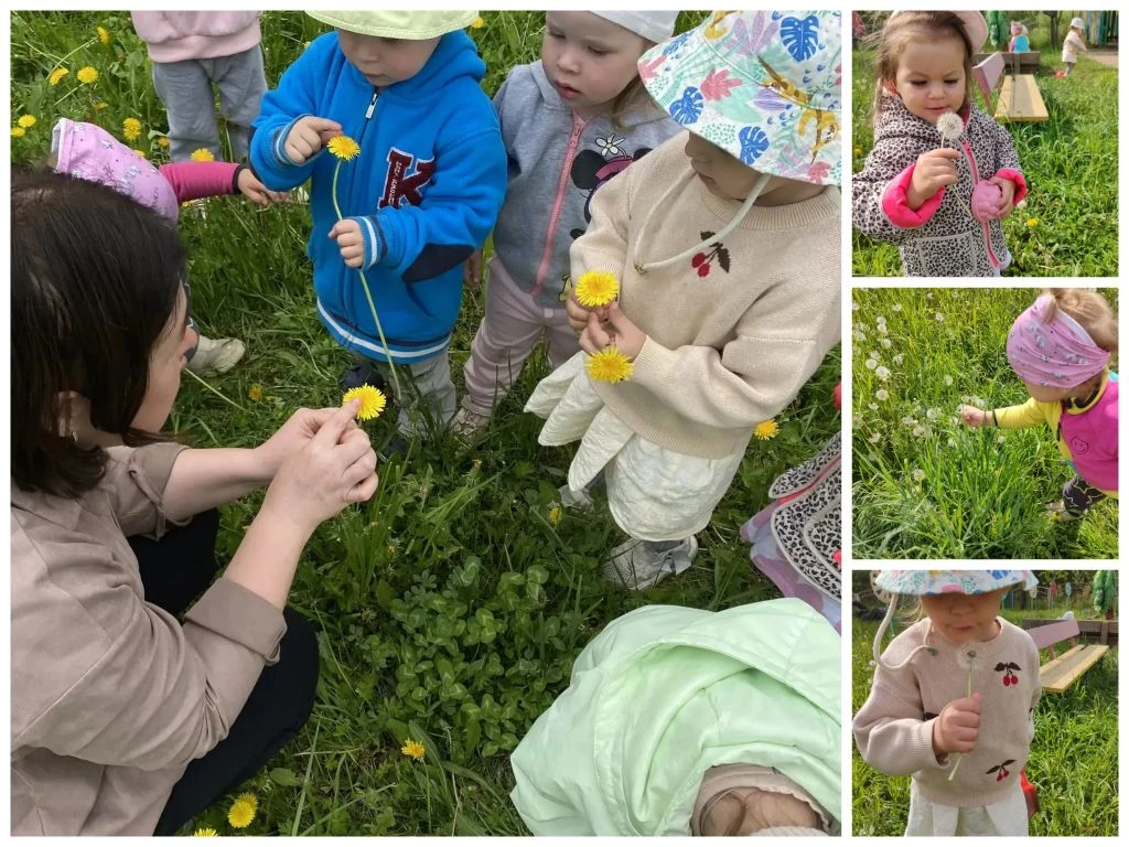💫Сколько удивительного и интересного можно наблюдать во время прогулки!🤗 Для наших малышей сегодня