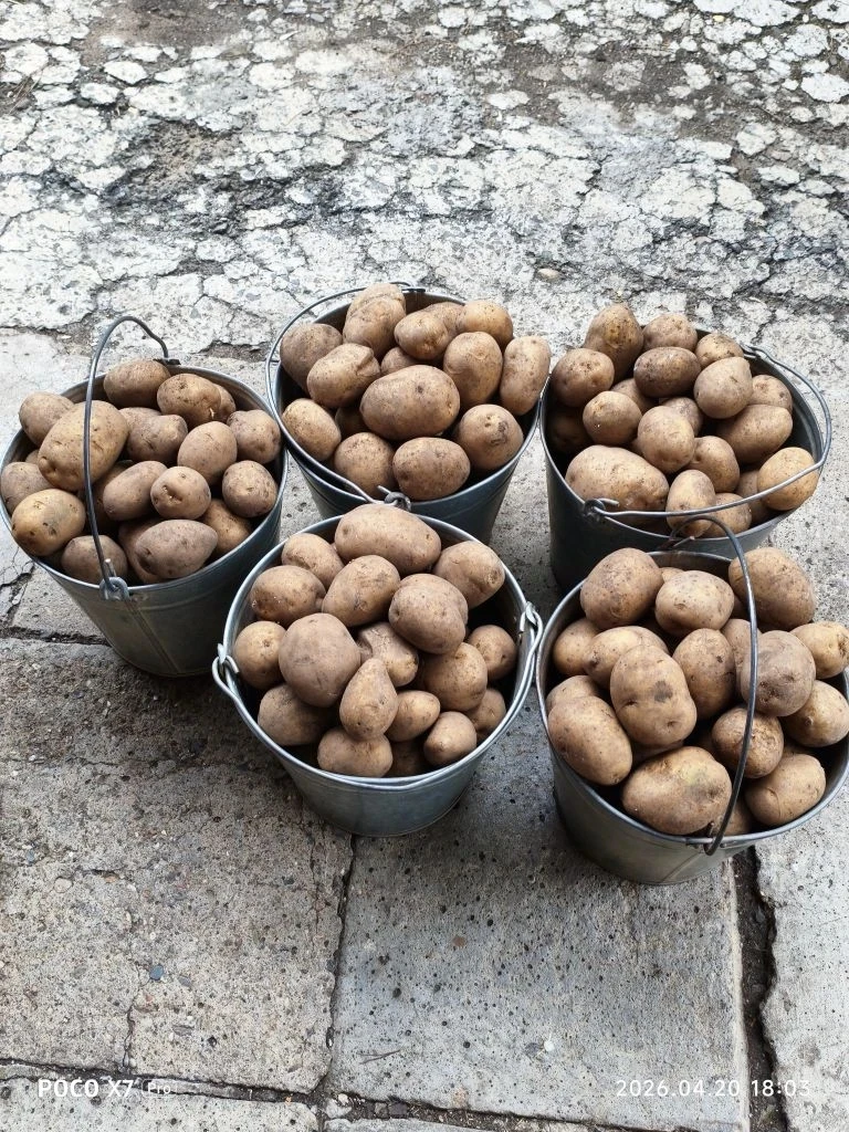 Продам,89226271550

Автор: Анна