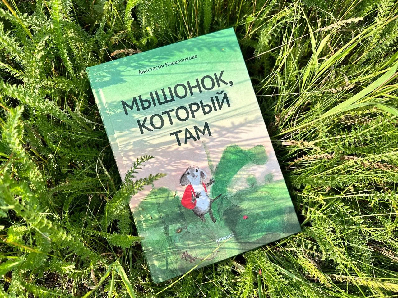 «Мышонок, который Там». 🐭

Лучшая книга на лето, если проводите его на даче или в деревне или прост