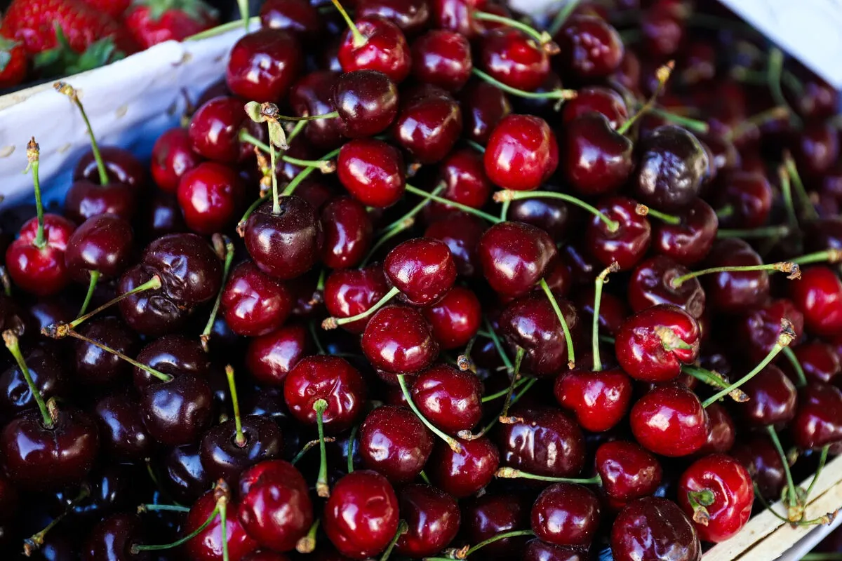 🍒 В начале лета россияне стали на 8-15% реже покупать черешню по сравнению с прошлым годом.

Причин