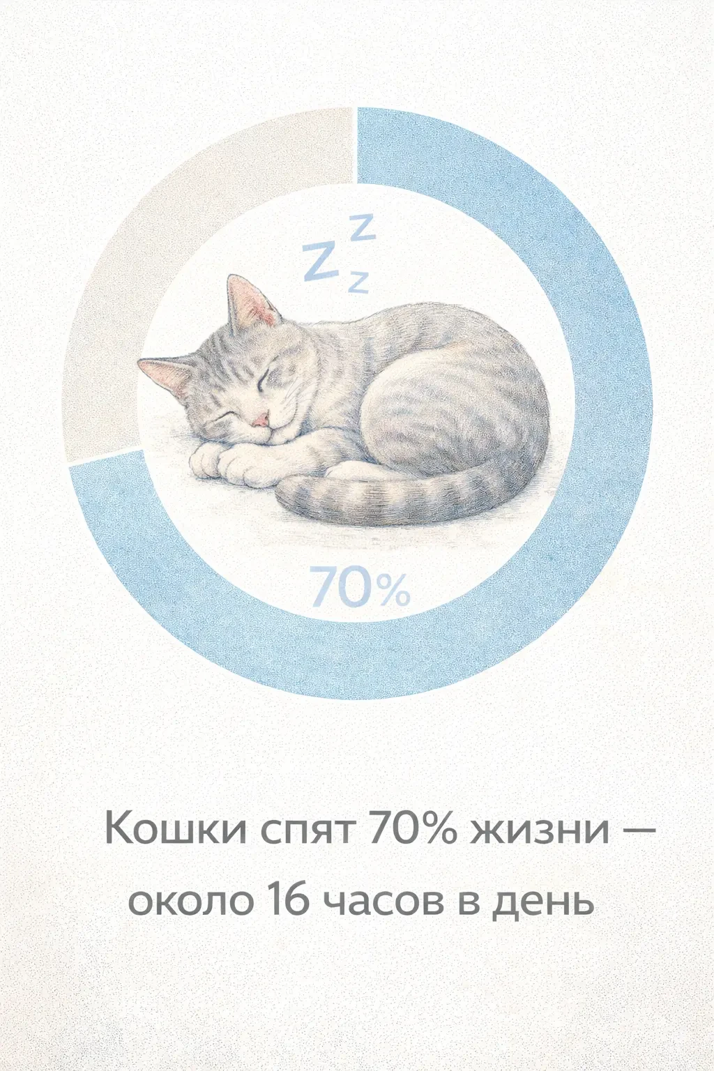 Кошки проводят во сне более 70% своей жизни - это около 16 часов в сутки.