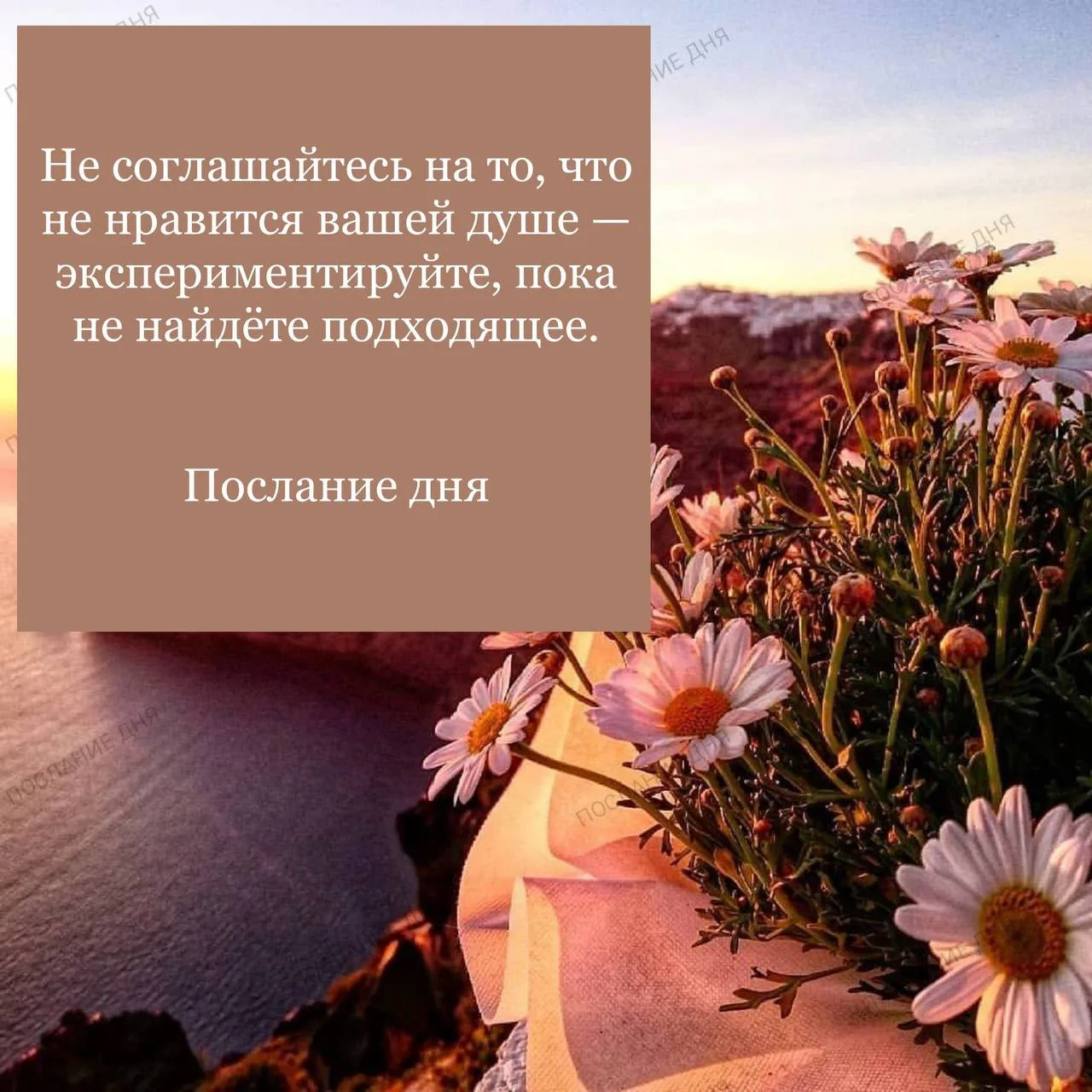 Послание дня