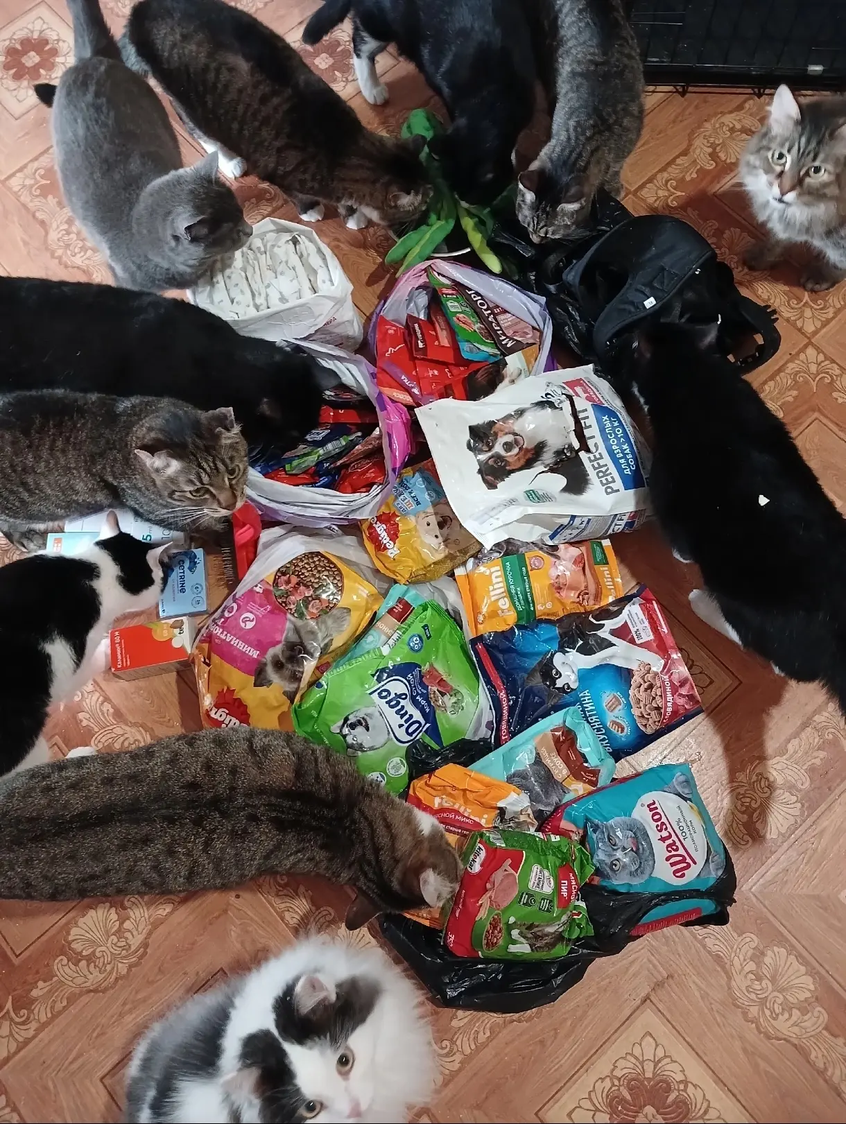 🐈‍⬛🐈‍⬛🐈‍⬛🐈‍⬛🐈‍⬛🐈‍⬛🐈‍⬛🐈‍⬛🐈‍⬛🐈‍⬛🐈‍⬛🐈‍⬛
‼️‼️‼️‼️‼️‼️‼️‼️‼️‼️‼️‼️
Выражаем искреннюю благода