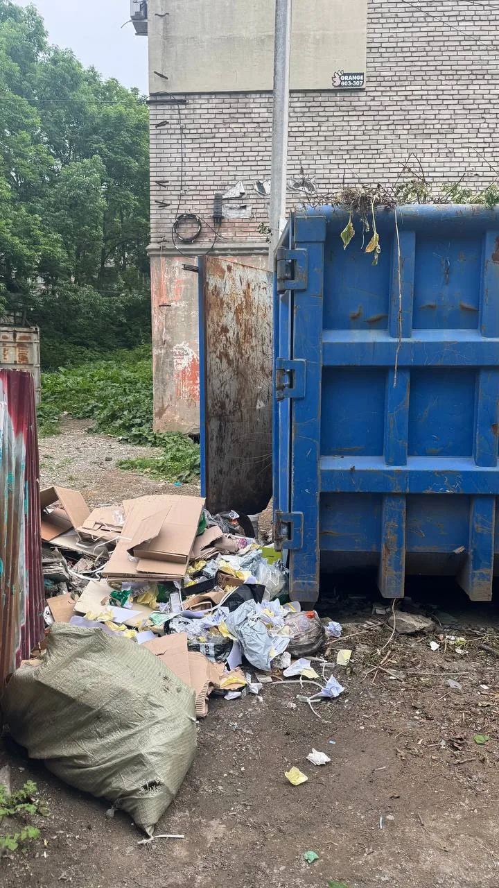 В Находке посреди микрорайона выросла свалка

Жительница Пограничной уже год пытается решить проблем