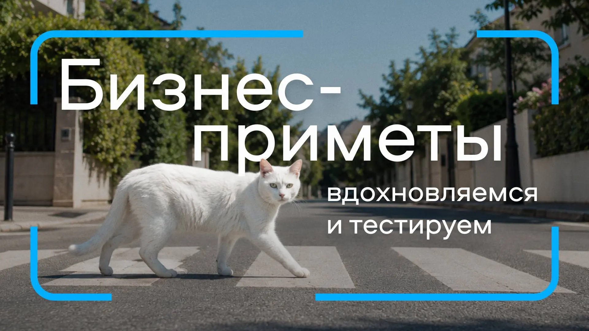 Что общего у слона, кофе и Авито?

Казалось бы, ничего. Но мы нашли связь — листайте карточки, чтобы